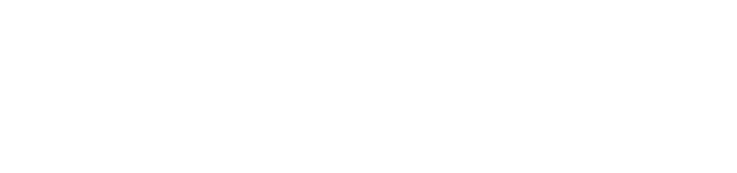 logo_fantech